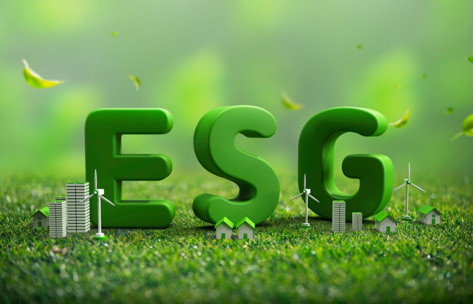 g. ESG (Environment , Social & Governance)